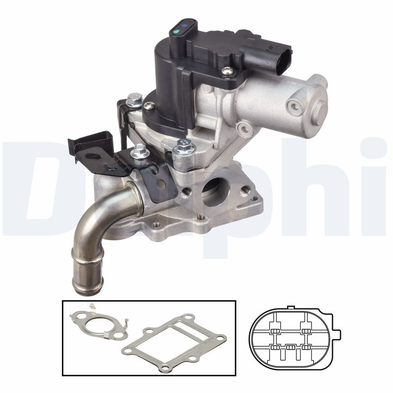 EGR Valve - EG10613-12B1 DELPHI