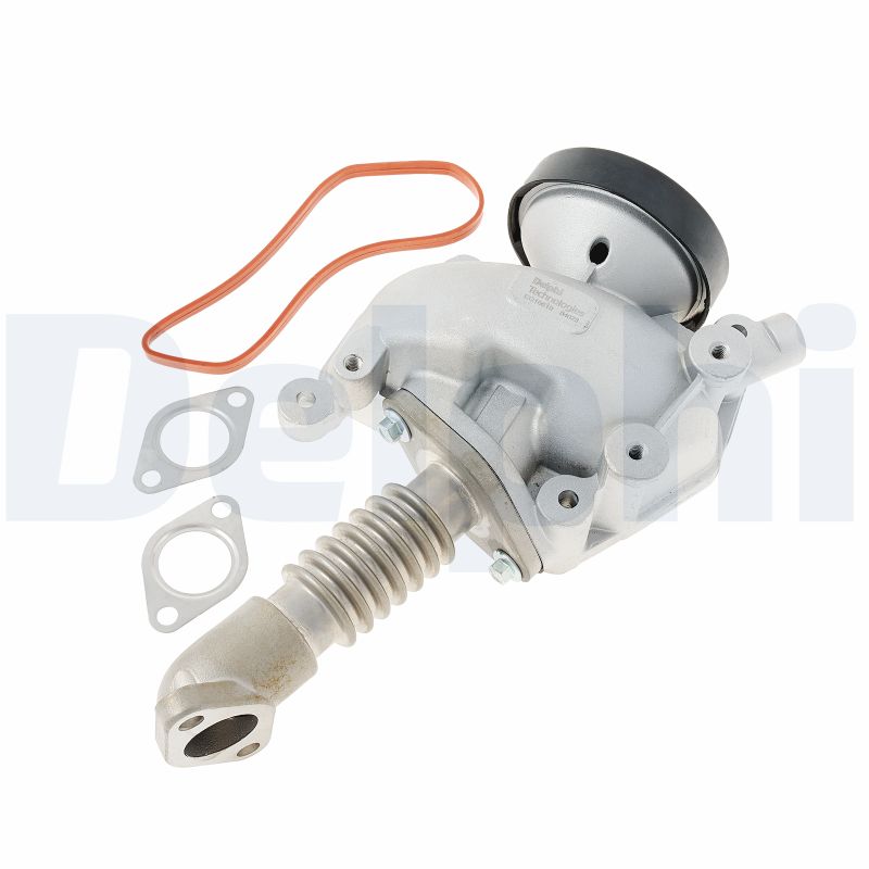 EGR Valve - EG10619-12B1 DELPHI