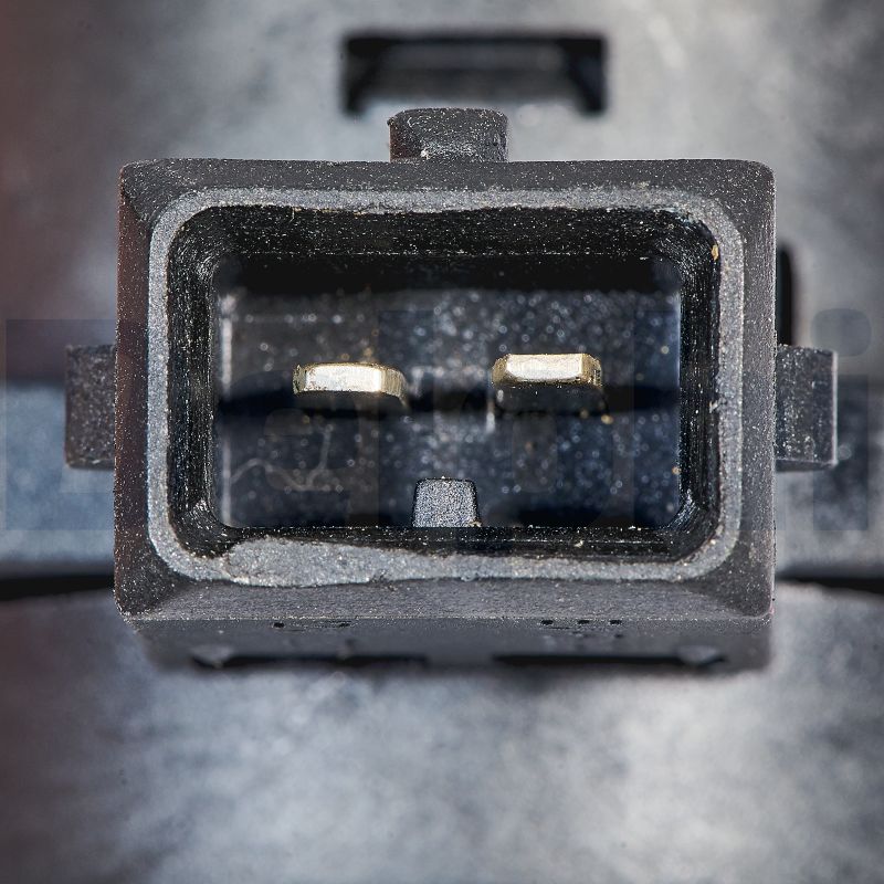 EGR Valve - EG10647-12B1 DELPHI