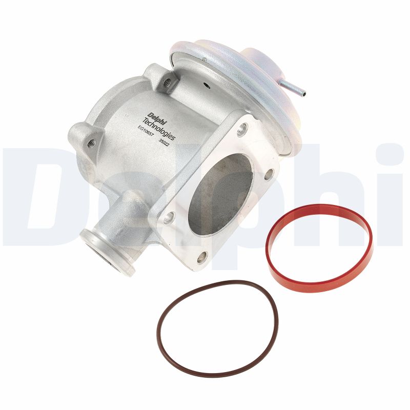 EGR Valve - EG10657-12B1 DELPHI