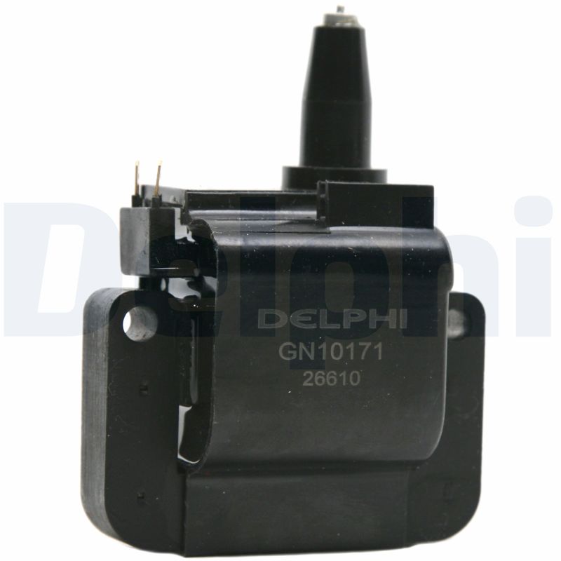ritė, uždegimas - GN10171-12B1 DELPHI