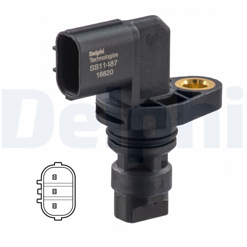 Sensor, Nockenwellenposition - SS11487 DELPHI