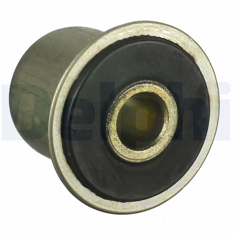 Supporto, Molla a balestra - TD1031W DELPHI