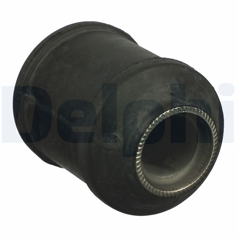 Supporto, Braccio oscillante - TD1061W DELPHI