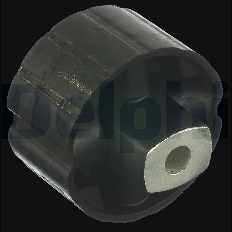 Control Arm-/Trailing Arm Bush - TD1075W DELPHI
