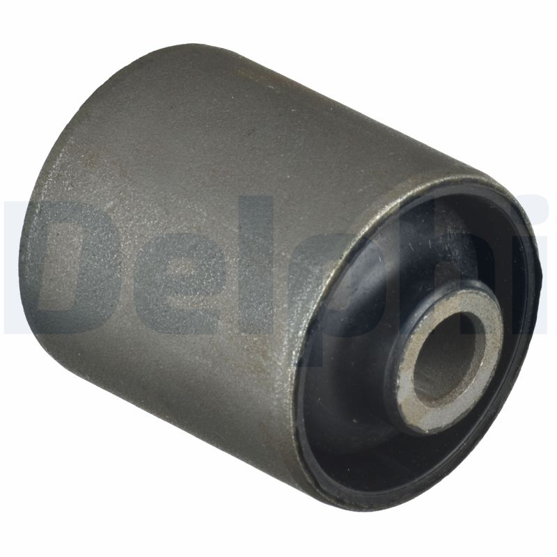 Supporto, Corpo assiale - TD1126W DELPHI