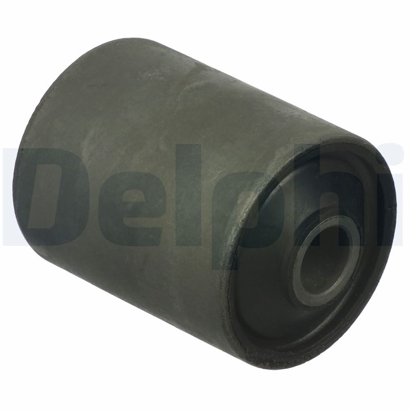 Supporto, Molla a balestra - TD1211W DELPHI