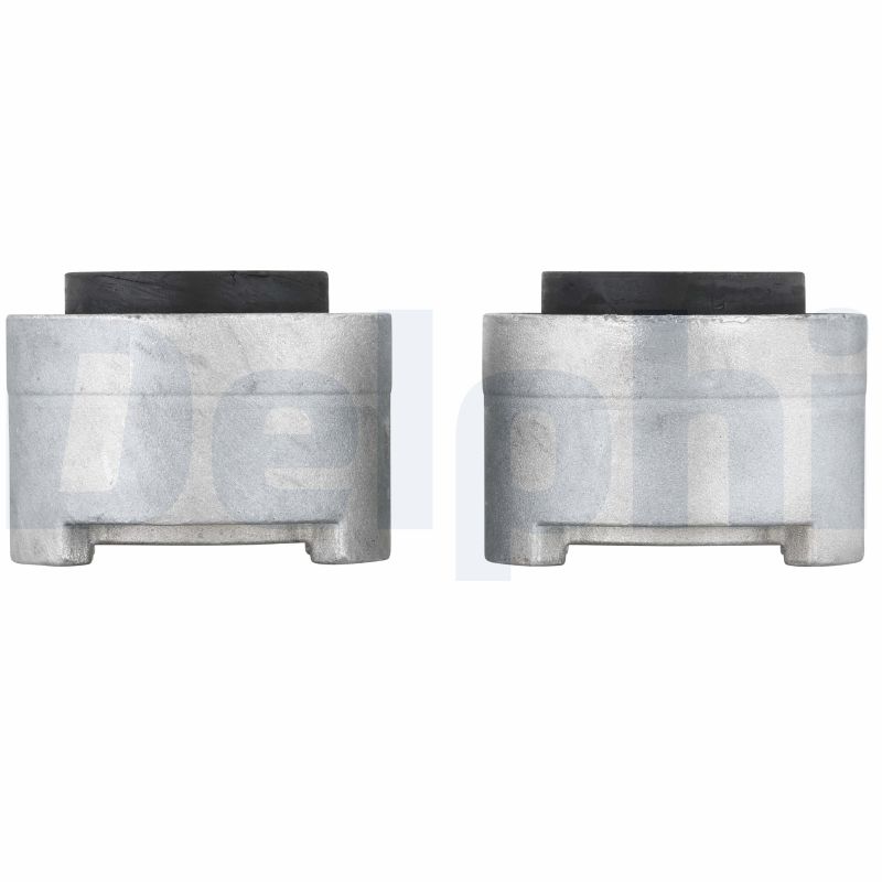 Control Arm-/Trailing Arm Bush - TD1500W DELPHI