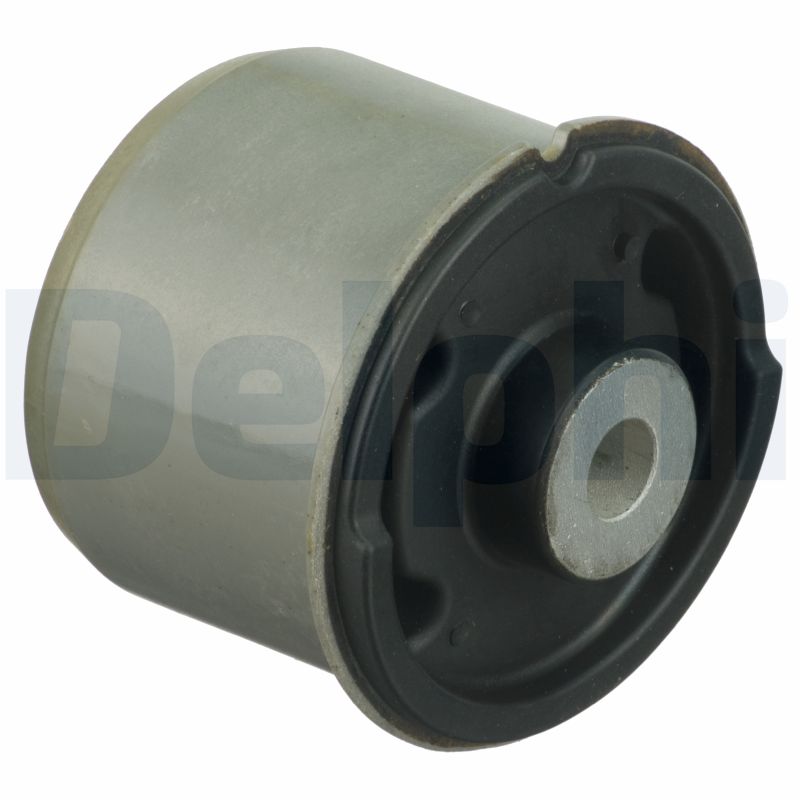 Supporto, Corpo assiale - TD1629W DELPHI