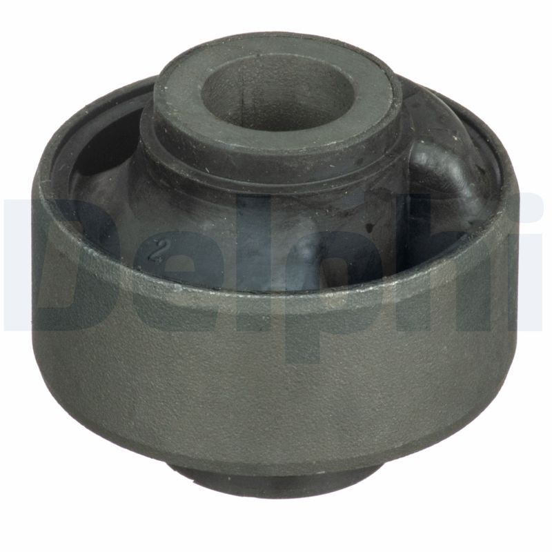 Supporto, Braccio oscillante - TD1646W DELPHI