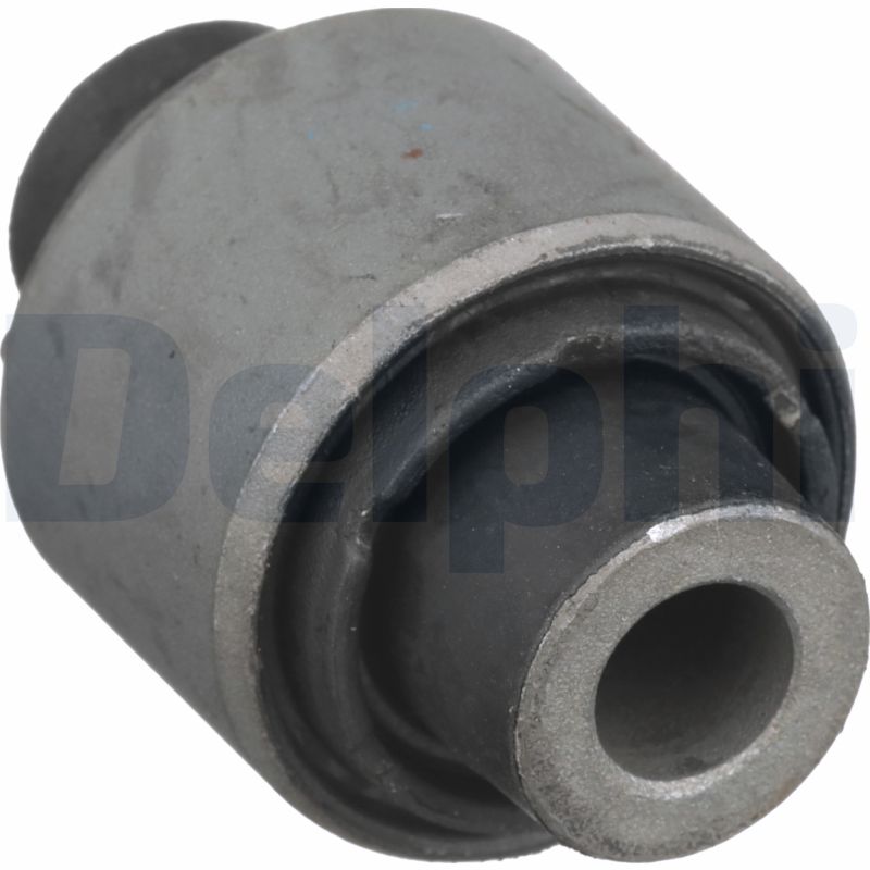 Control Arm-/Trailing Arm Bush - TD1684W DELPHI