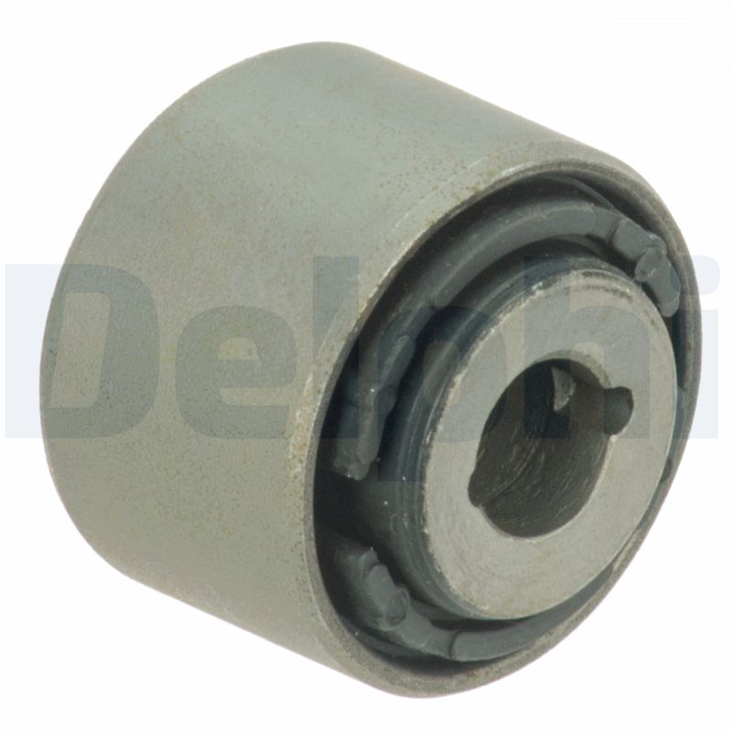 Control Arm-/Trailing Arm Bush - TD1688W DELPHI