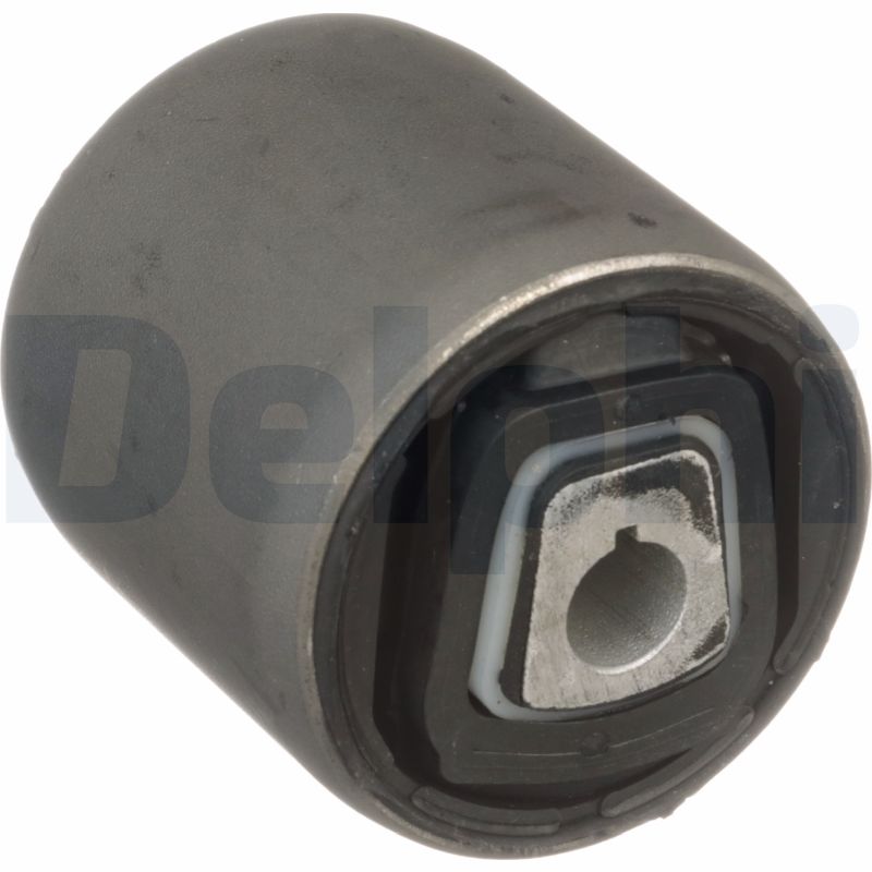 Control Arm-/Trailing Arm Bush - TD1734W DELPHI