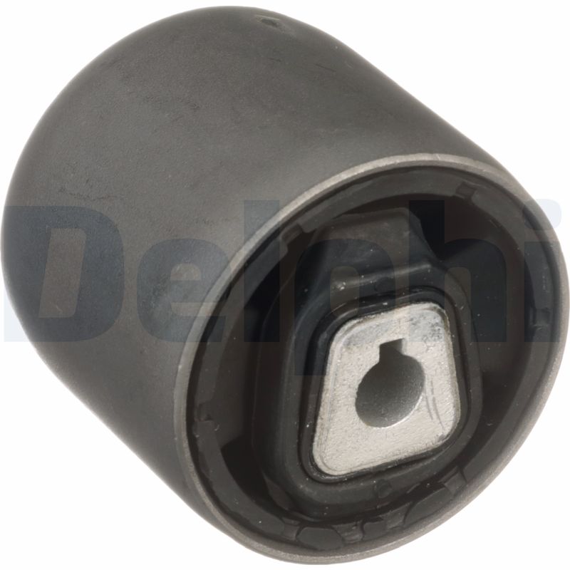 Control Arm-/Trailing Arm Bush - TD1735W DELPHI