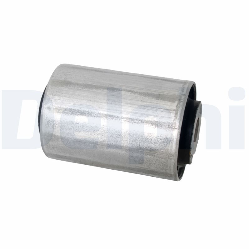 Supporto, Braccio oscillante - TD1738W DELPHI