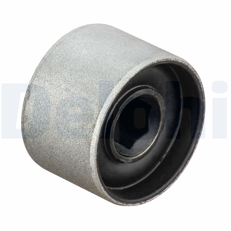Supporto, Braccio oscillante - TD1791W DELPHI