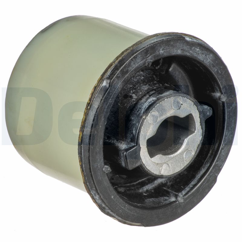 Supporto, Corpo assiale - TD1813W DELPHI