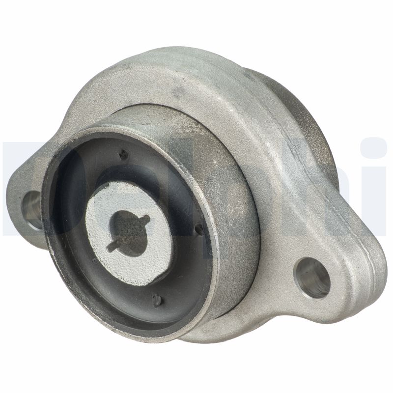 Control Arm-/Trailing Arm Bush - TD1834W DELPHI