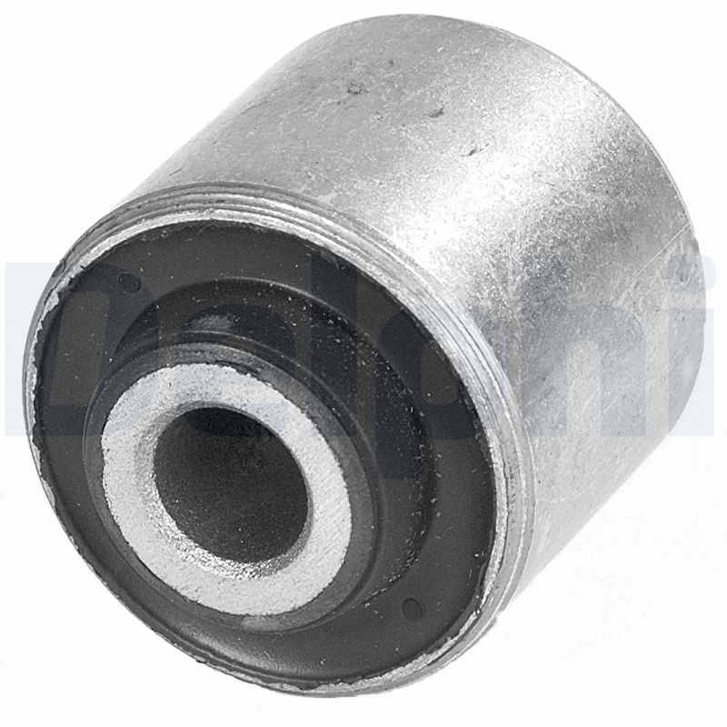 Supporto, Braccio oscillante - TD246W DELPHI