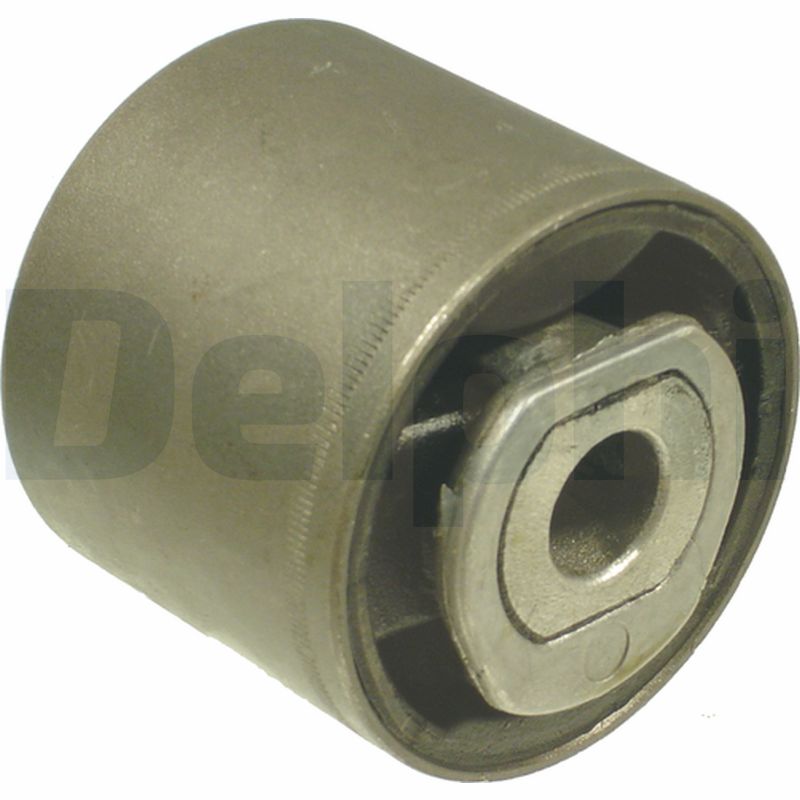 Supporto, Braccio oscillante - TD310W DELPHI
