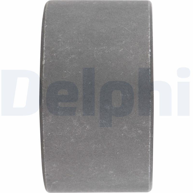 Control Arm-/Trailing Arm Bush - TD343W DELPHI