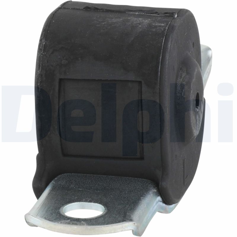 Control Arm-/Trailing Arm Bush - TD388W DELPHI