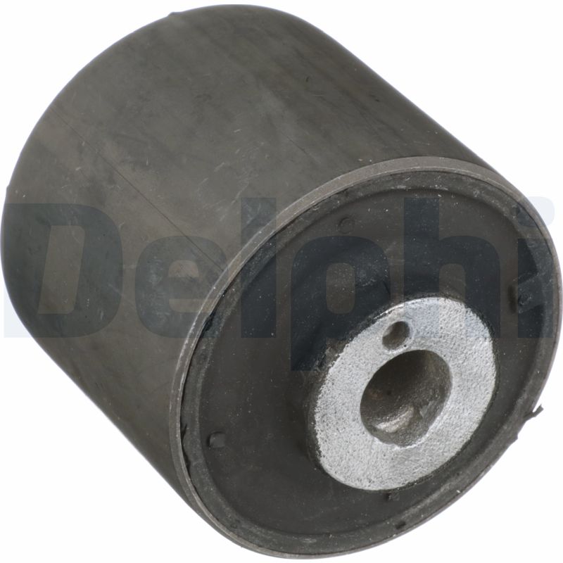 Control Arm-/Trailing Arm Bush - TD4223W DELPHI