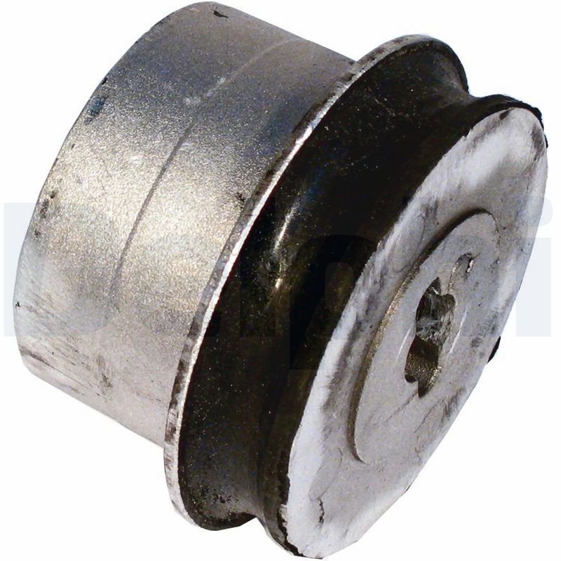 Control Arm-/Trailing Arm Bush - TD527W DELPHI