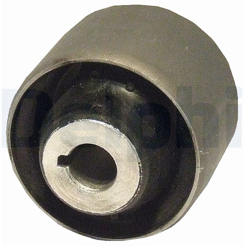 Supporto, Braccio oscillante - TD606W DELPHI