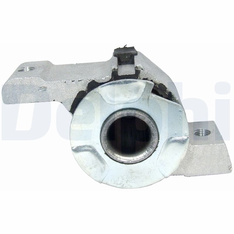 Control Arm-/Trailing Arm Bush - TD659W DELPHI