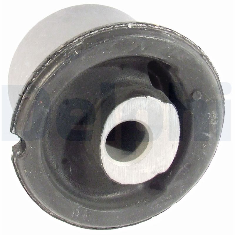 Supporto, Braccio oscillante - TD844W DELPHI