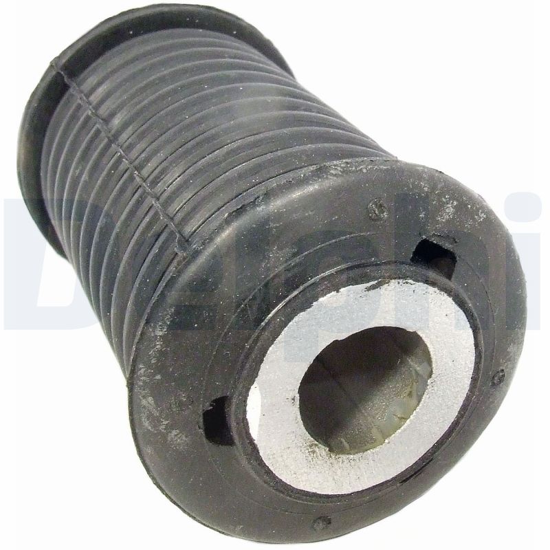 Mounting, leaf spring - TD859W DELPHI