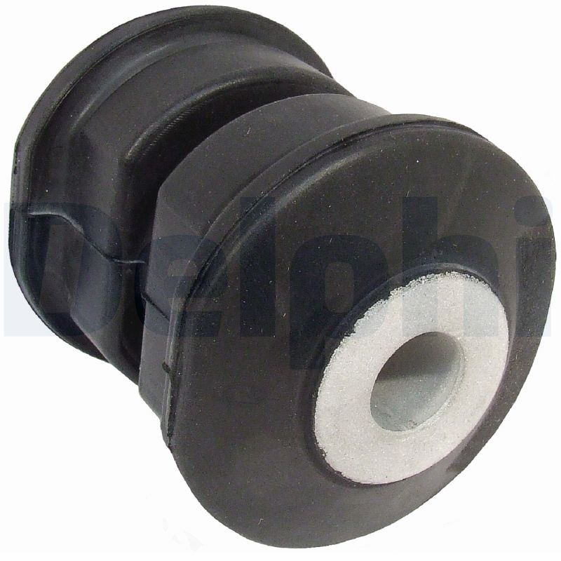 Supporto, Molla a balestra - TD879W DELPHI