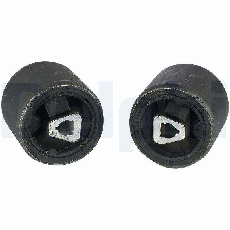 Control Arm-/Trailing Arm Bush - TD891W DELPHI