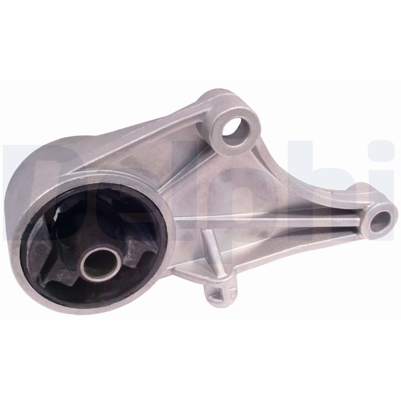 Sospensione, Motore - TEM009 DELPHI