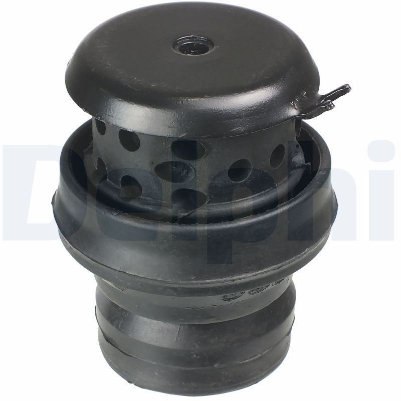 Lagerung, Motor - TEM058 DELPHI