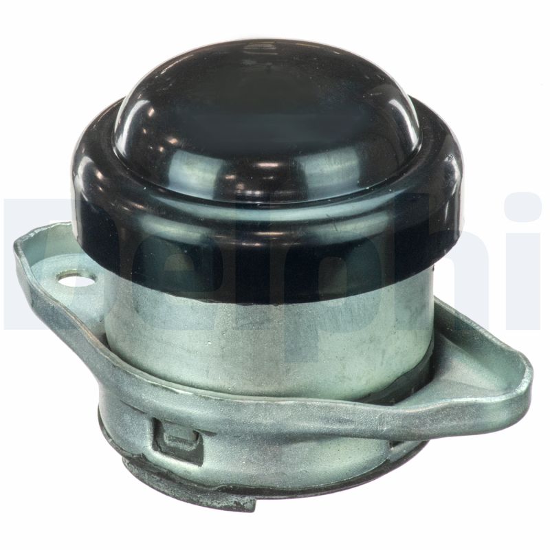 Engine Mounting - TEM077 DELPHI