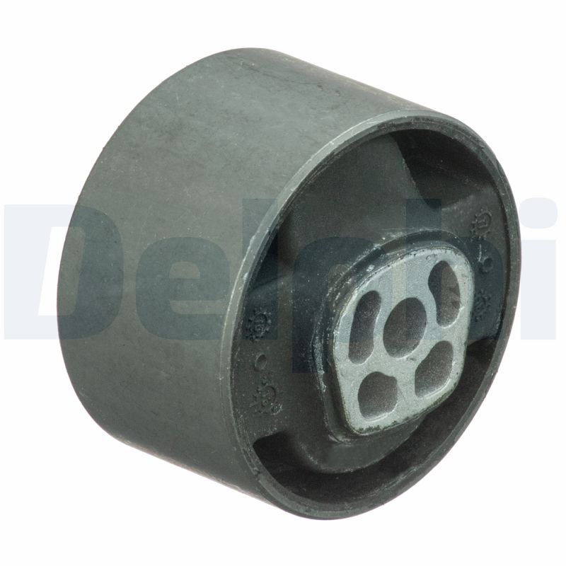 Sospensione, Motore - TEM089 DELPHI