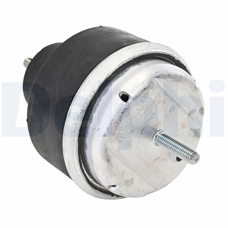 Engine Mounting - TEM239 DELPHI