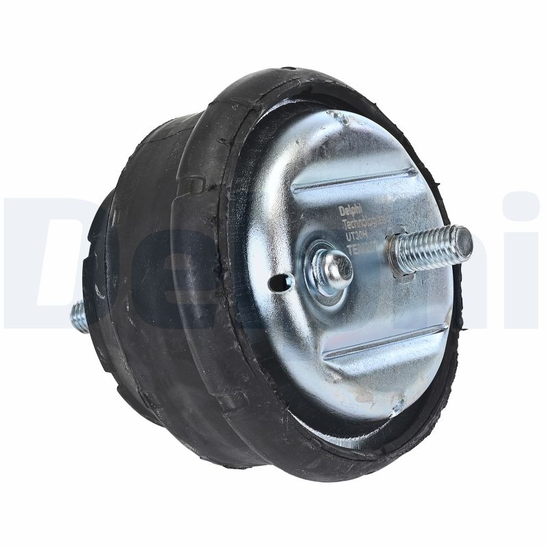 Sospensione, Motore - TEM257 DELPHI