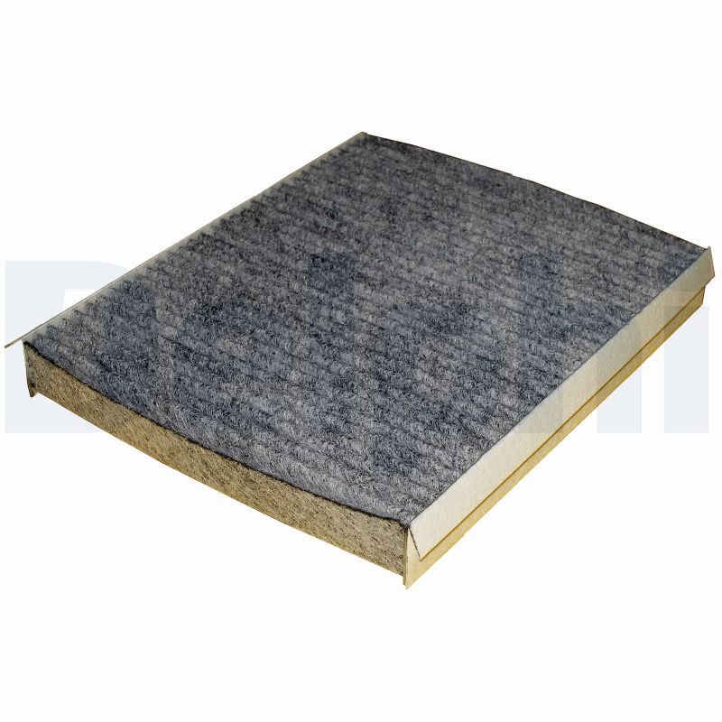 filtras, salono oras - TSP0325204C DELPHI