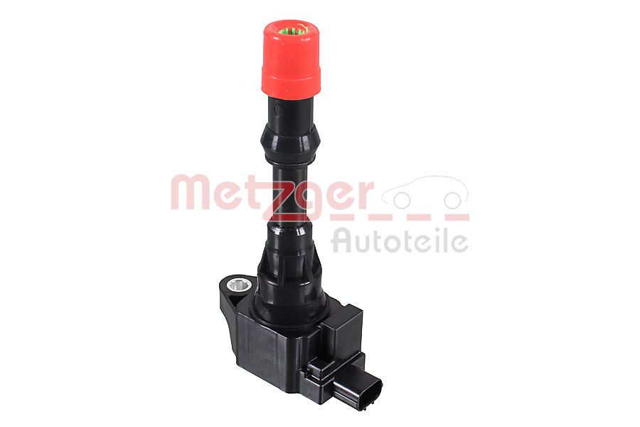 ritė, uždegimas - 0880527 METZGER