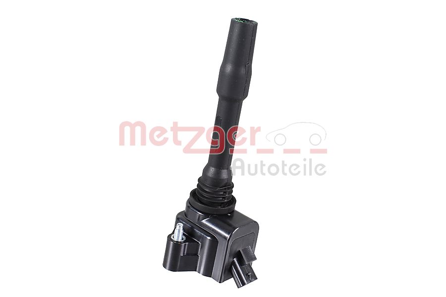 ritė, uždegimas - 0880548 METZGER