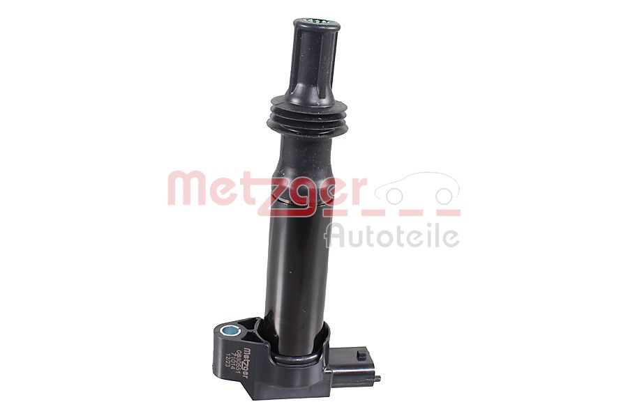 ritė, uždegimas - 0880551 METZGER