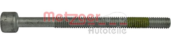 Bullone, Supporto iniettore - 0899046 METZGER