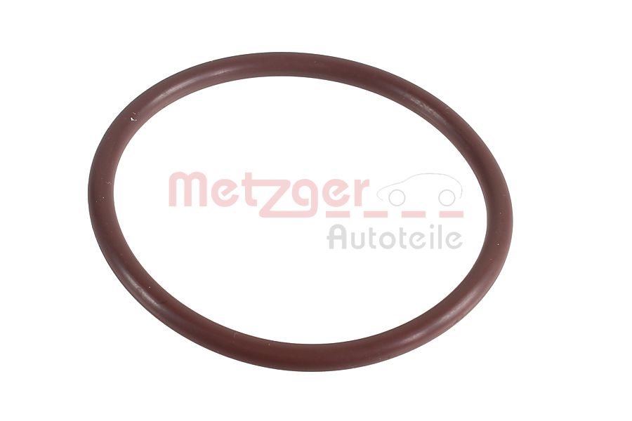 Seal Ring - 2430043 METZGER
