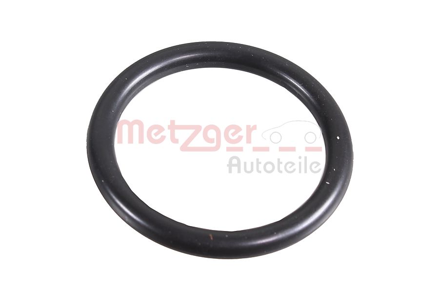 Seal Ring - 2430045 METZGER