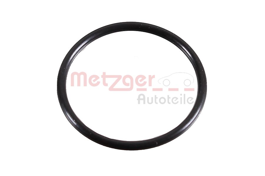 Seal Ring - 2430048 METZGER