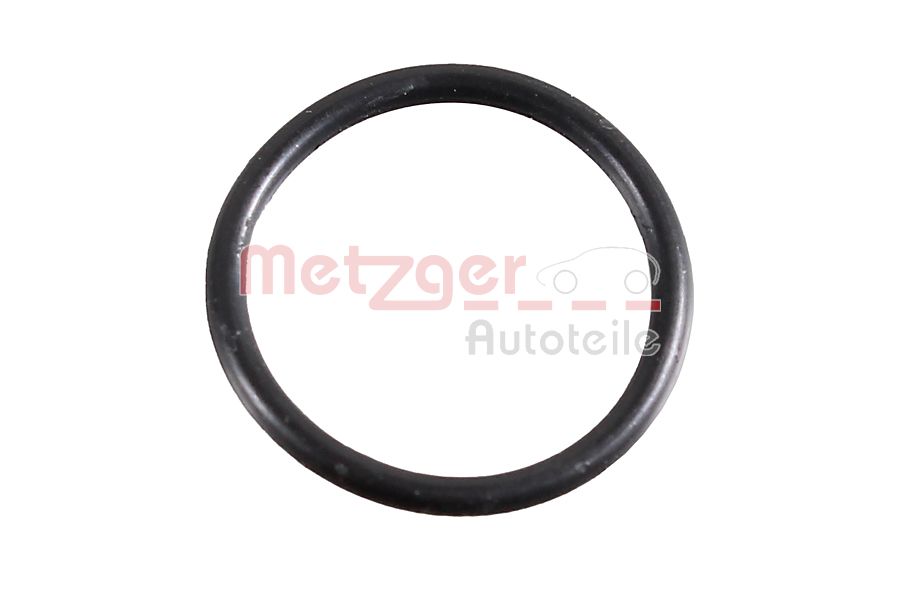 Seal Ring - 2430053 METZGER