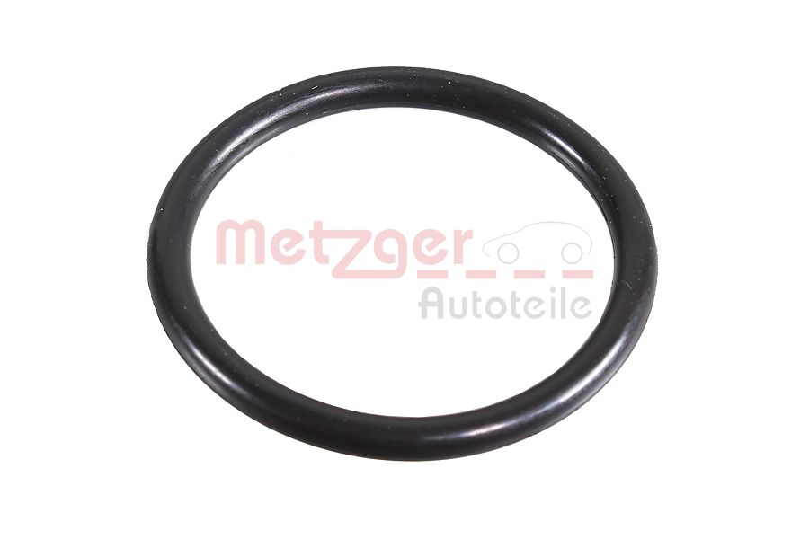 Seal Ring - 2430059 METZGER
